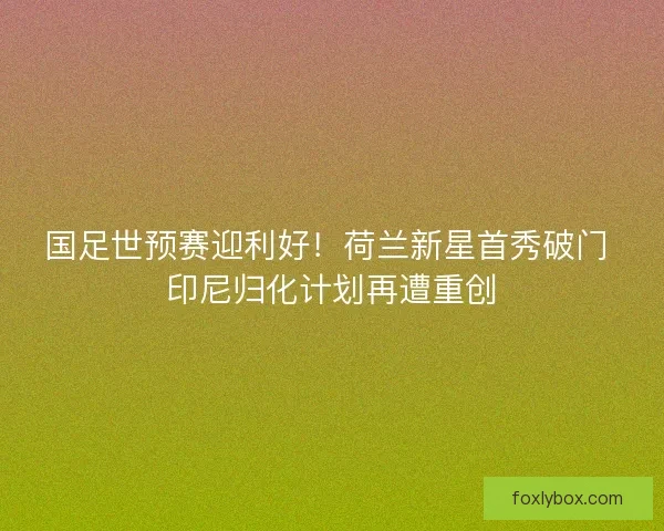 国足世预赛迎利好！荷兰新星首秀破门 印尼归化计划再遭重创